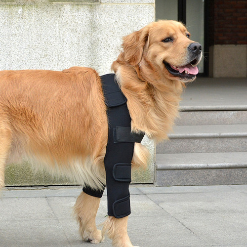 C Coderas Protectoras Para Perros