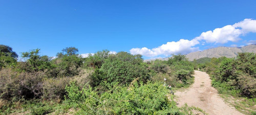 Terreno En Ventas En Las Rabonas
