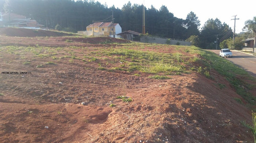 Imagem 15 de 15 de Terreno Para Venda Em Campina Grande Do Sul, Novo Daher - 00283h17_2-1183674