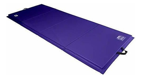 We Sell Mats 4 Ft X 10 Ft X 2 In Personal Fitness & Exercis