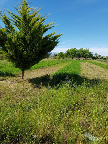 Venta Quinta Con Estanque Propio