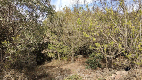 Remato Tres Terrenos En Huerta Grande, Sierras De Cordoba