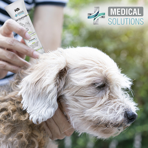 Ms Gel Cicatrizante De Kiwi P/ Perro Gato Mamíferos Pequeños