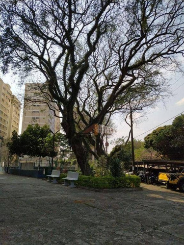 Imagem 30 de 30 de Apartamento À Venda, 66 M² Por R$ 300.000,00 - Parque Paineiras - São Paulo/sp - Ap1528