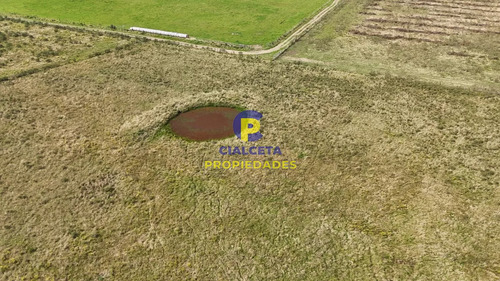 3 Hectáreas En Noya, Departamento De Canelones