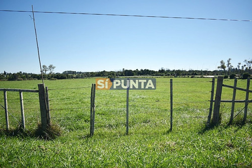 Imagen 9 de 19 de Chacra San Carlos Ruta 9