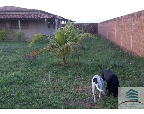Imagem 2 de 30 de Granja A Venda São Gonçalo Do Amarante