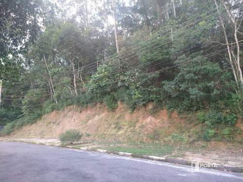 Terreno À Venda, 960 M² Por R$ 265.000,00 - Jardim Dos Ypês - Embu Das Artes/sp - Te0275