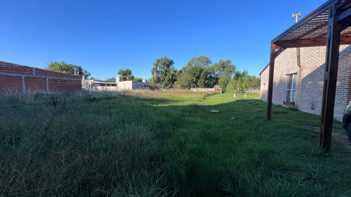 Venta Lote Veronica T-800