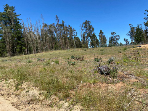 Venta De Parcela En Bosques De Las Lomas En Totoral