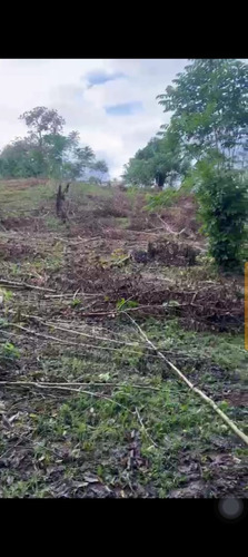 Vendo Terreno De 2,200 Metros En Yamasa Tiene Acceso A Rio, Monte Plata