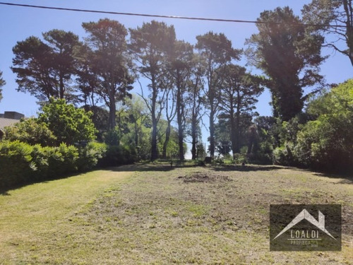 Imagen 1 de 2 de Venta Terreno En Sierra De Los Padres