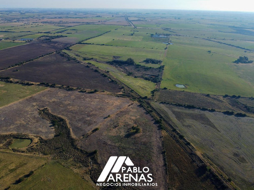 Campo En Venta 24 Ha, Rosario #2458