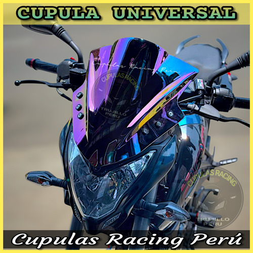 Cupula Ninja 300 Tornasol Cupula Universal Camaleon