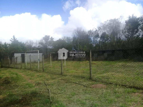 Imagem 12 de 30 de Chácara Com 4 Dorms, São Lourenço, São Lourenço Da Serra - R$ 900 Mil, Cod: 4281 - V4281