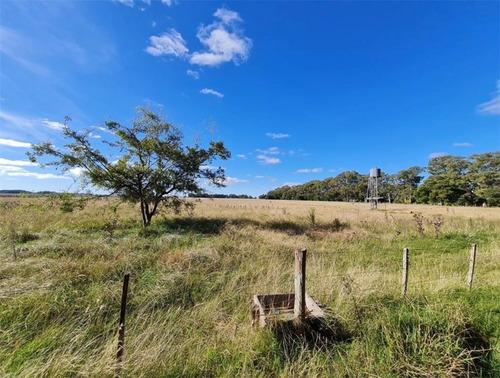 Imagen 10 de 17 de Propiedades Rurales Agricola - Venta