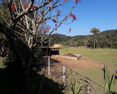 Imagem 7 de 22 de Sitio À Venda Em Juquitiba - 307 - 32982833