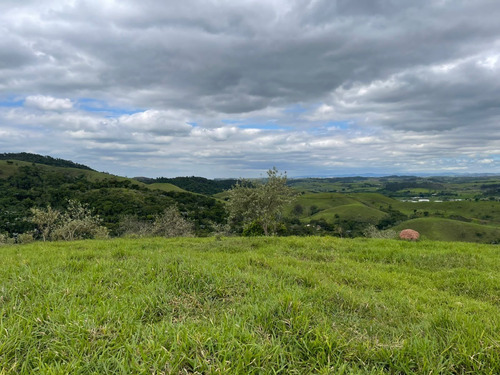 Imagem 26 de 26 de E14-lotes Com O Melhor Preço Que Você Já Viu!!