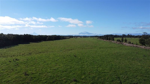 Imagen 6 de 30 de Agrícola En Venta En Puerto Varas