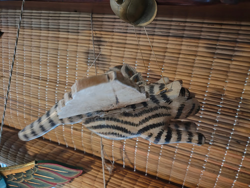 Talla De Madera Tigre De Indonesia Marioneta Crema (Usado)
