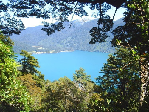 Imagen 9 de 13 de Megalotes Desde 2.5ha, Lago Todos Los Santos, Playa