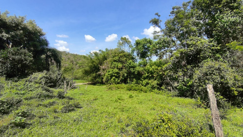Imagem 9 de 19 de Linda Chacara No Bairro Santa Catarina Com 39.160 M² | Fácil Acesso A Br 101 - Sa01728 - 68879324
