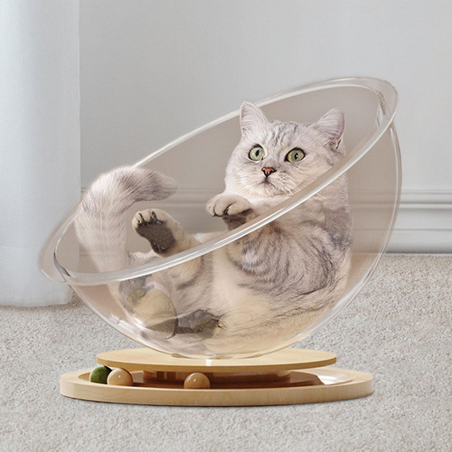 Cama Para Gatos Con Cápsula Espacial, Suministros Para S