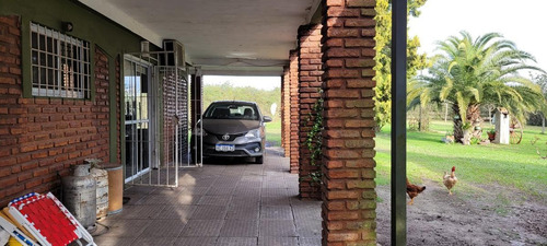Imagen 4 de 30 de Quinta - Gualeguaychu