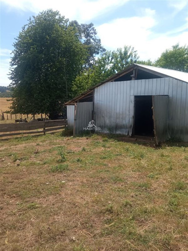 Imagen 26 de 30 de Agrícola Orilla Asfalto Con 5 Hectáreas En Venta En Cunco