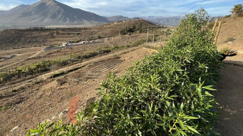 Parcela En Loteo Lomas Del Hinojal