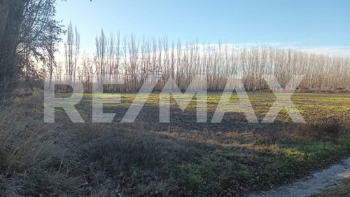 Venta De Chacra 6 Hectareas - Vista Alegre