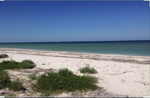 Imagen 15 de 27 de Lotes Cerca De La Playa De San Bruno Y Zona Arqueológica De Xcambó. Entrega 2024
