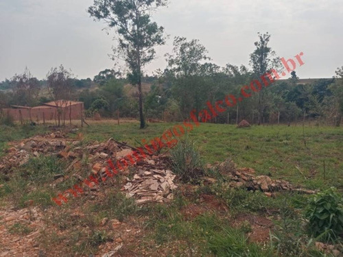 Imagem 12 de 12 de Venda - Chácara - Colina Santa Izabel (tupi) - Piracicaba - Sp - D1459