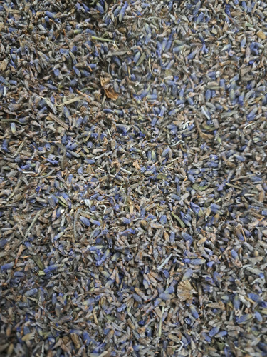 Alfazema Azul (lavanda) Granel 1kg