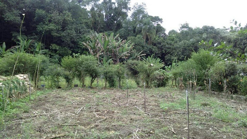 Imagem 11 de 17 de Chácara Residencial À Venda, Horto Florestal, São Paulo. - Ch0006