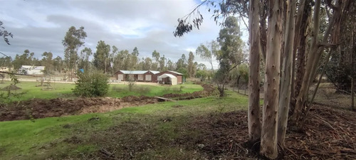 Venta Parcela 5.000 M2 Con Casa 5d/1b En Litueche