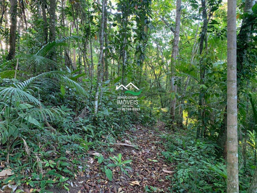 Imagem 11 de 30 de Chácara Com 1 Dorm, Area Rural, Pedro De Toledo - R$ 159 Mil, Cod: 560 - V560