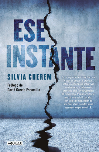 Ese instante: Torres Gemelas, de Cherem, Silvia. Biografía y testimonios, vol. Único. Editorial Aguilar, tapa blanda en español, 2021