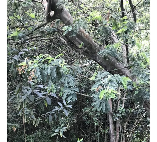 Magnífico Lote, Vereda Centro, Fúquene Cundinamarca