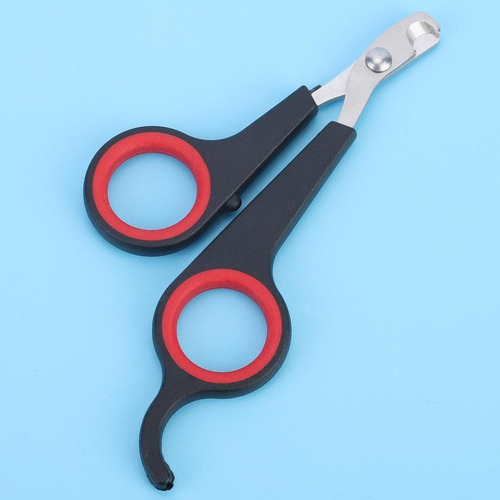 Cortador De Uñas De Acero Inoxidable Para Loro, Tijeras Para