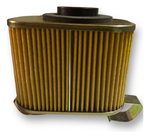 Filtro Aire Tvs 100 Sport Calidad Premium