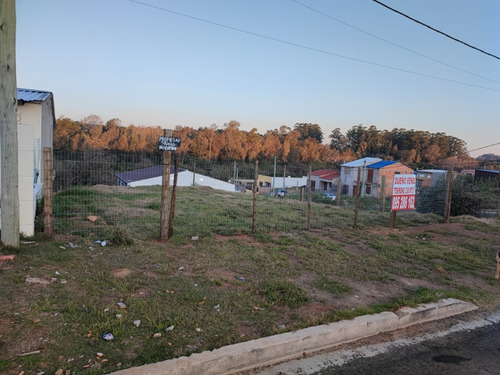 Terreno 330 Mts 2. Barrio La Pedrera. Muy Amplio. Lugar Tranquilo Con Todos Los Servicios. Al Primero!