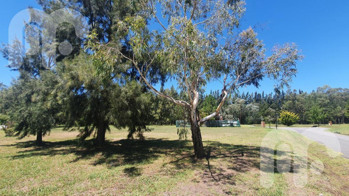 Imagen 4 de 5 de Venta Lote Club Miralagos