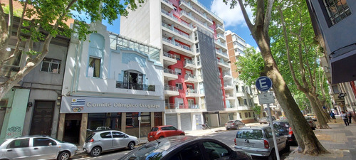 Imagen 14 de 14 de Venta/alquiler Local Comercial Barrio Sur