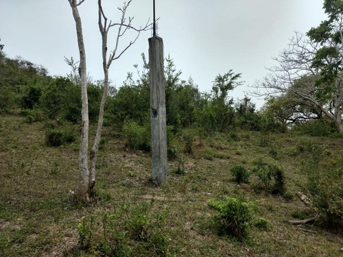 Venta Rancho 50 Hectareas Tampache Tamiahua Veracruz