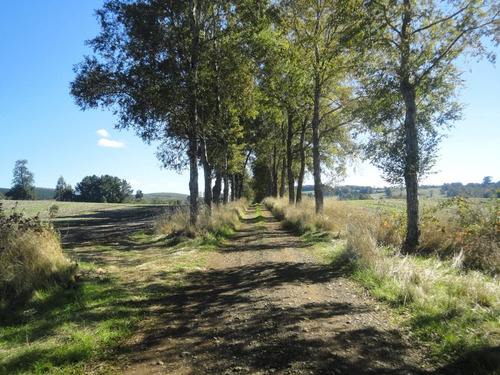 Campo Con Casa 150 Ha Aprox. A 11 Km. Osorno $ 2.247.000