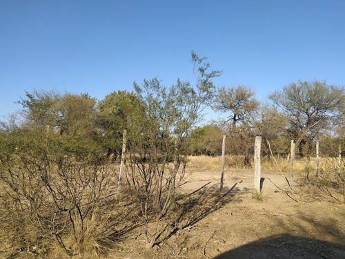 Imagen 10 de 19 de Campo Ganadero Y De Siembra En Venta En Lafinur, Provincia De San Luis