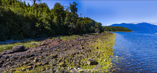 Terreno En Venta En Puerto Cisnes