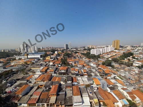 Imagem 2 de 15 de Apartamento Para Venda, 3 Dormitórios, Vila Butantã - São Paulo - 13264