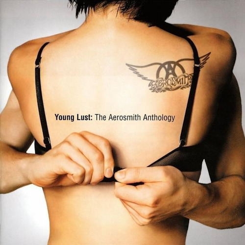 Aerosmith 2 Cds Young Lust Anthology Impecable   